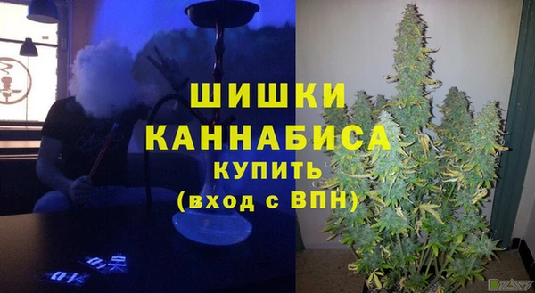 прущая мука Магас