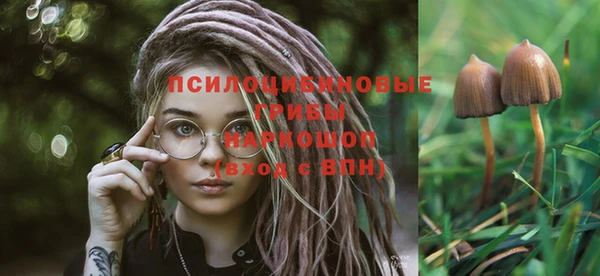 прущая мука Магас