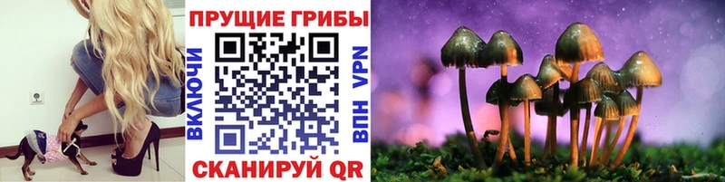 Галлюциногенные грибы прущие грибы  Ревда 