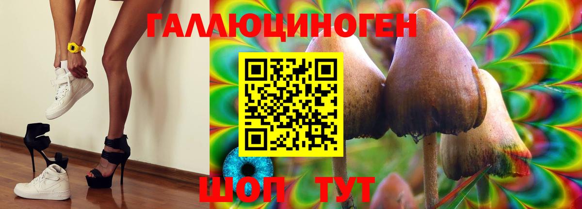 Галлюциногенные грибы Psilocybe  Вход с VPN  Галлюциногенные грибы мицелий  Ревда 